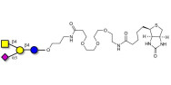 GM2 Ganglioside oligosaccharide linked to biotin (Linker-BT C)