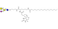GM2 Ganglioside oligosaccharide linked to biotin and stearic chain (Linker-BT-STEA A)
