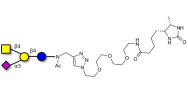GM2 Ganglioside oligosaccharide linked to desthiobiotin (Linker-DBT-A)