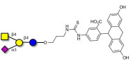 GM2 Ganglioside oligosaccharide linked to fluorescein (Linker-FLUO A)