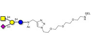 GM2 Ganglioside oligosaccharide grafted on gel for affinity chromatography (Linker-GEL A)