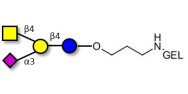 GM2 Ganglioside oligosaccharide grafted on gel for affinity chromatography (Linker-GEL B)