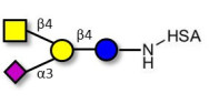 GM2 Ganglioside oligosaccharide grafted on HSA
