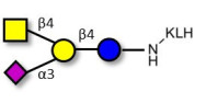GM2 Ganglioside oligosaccharide grafted on KLH