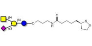 GM2 Ganglioside oligosaccharide with cyclic di-thiol (Linker-LIPO A)