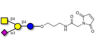 GM2 Ganglioside oligosaccharide linked to maleimide (Linker-MAL A)