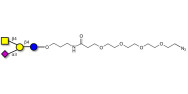 GM2 Ganglioside oligosaccharide with terminal azide (Linker-N3 A)