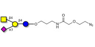 GM2 Ganglioside oligosaccharide with terminal azide (Linker-N3 B)