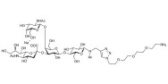 GM2 Ganglioside oligosaccharide with free terminal amine (Linker-NH2 B)