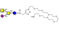 GM2 Ganglioside oligosaccharide with free terminal amine (Linker-NH2 C)