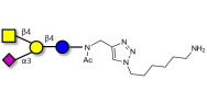 GM2 Ganglioside oligosaccharide with free terminal amine (Linker-NH2 D)