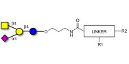 GM2 Ganglioside oligosaccharide with customizable dual functionalization 