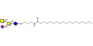 GM2 Ganglioside oligosaccharide with stearic chain (Linker-STEA A)
