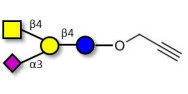 GM2 Ganglioside oligosaccharide with terminal alkyne (Linker-CΞCH B)