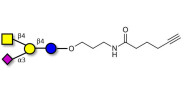 GM2 Ganglioside oligosaccharide with terminal alkyne (Linker-CΞCH C)