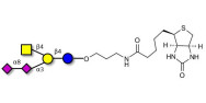 GD2 Ganglioside oligosaccharide linked to biotin (Linker-BT B)