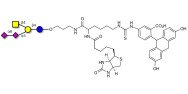 GD2 Ganglioside oligosaccharide linked to biotin and fluorescein (Linker-BT-FLUO A)