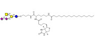 GD2 Ganglioside oligosaccharide linked to biotin and stearic chain (Linker-BT-STEA A)
