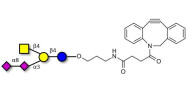GD2 Ganglioside oligosaccharide with DBCO (Linker-DBCO A)