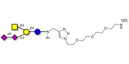 GD2 Ganglioside oligosaccharide grafted on gel for affinity chromatography (Linker-GEL A)