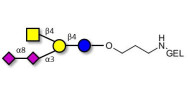 GD2 Ganglioside oligosaccharide grafted on gel for affinity chromatography (Linker-GEL B)