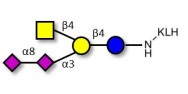 GD2 Ganglioside oligosaccharide grafted on KLH