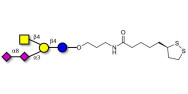 GD2 Ganglioside oligosaccharide with cyclic di-thiol (Linker-LIPO A)