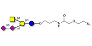 GD2 Ganglioside oligosaccharide with terminal azide (Linker-N3 B)