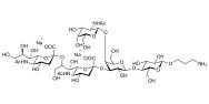 GD2 Ganglioside oligosaccharide with free terminal amine (Linker-NH2 A)