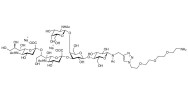 GD2 Ganglioside oligosaccharide with free terminal amine (Linker-NH2 B)