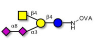 GD2 Ganglioside oligosaccharide grafted on OVA
