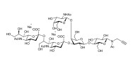GD2 Ganglioside oligosaccharide with terminal alkyne (Linker-CΞCH A)
