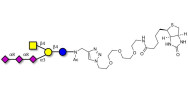 GT2 Ganglioside oligosaccharide linked to biotin (Linker-BT A)