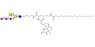 GT2 Ganglioside oligosaccharide linked to biotin and stearic chain (Linker-BT-STEA A)