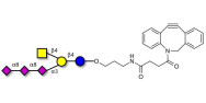 GT2 Ganglioside oligosaccharide with DBCO (Linker-DBCO A)