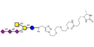 GT2 Ganglioside oligosaccharide linked to desthiobiotin (Linker-DBT-A)
