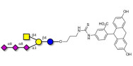GT2 Ganglioside oligosaccharide linked to fluorescein (Linker-FLUO A)