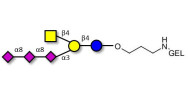 GT2 Ganglioside oligosaccharide grafted on gel for affinity chromatography (Linker-GEL B)