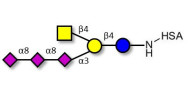 GT2 Ganglioside oligosaccharide grafted on HSA