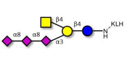 GT2 Ganglioside oligosaccharide grafted on KLH