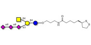GT2 Ganglioside oligosaccharide with cyclic di-thiol (Linker-LIPO A)