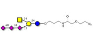 GT2 Ganglioside oligosaccharide with terminal azide (Linker-N3 B)