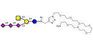 GT2 Ganglioside oligosaccharide with free terminal amine (Linker-NH2 C)