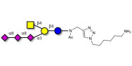 GT2 Ganglioside oligosaccharide with free terminal amine (Linker-NH2 D)