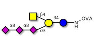 GT2 Ganglioside oligosaccharide grafted on OVA