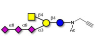 GT2 Ganglioside oligosaccharide with terminal alkyne (Linker-CΞCH A)