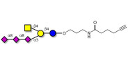 GT2 Ganglioside oligosaccharide with terminal alkyne (Linker-CΞCH C)