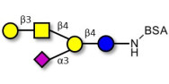 GM1a Ganglioside oligosaccharide grafted on BSA