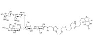 GM1a Ganglioside oligosaccharide linked to biotin (Linker-BT A)