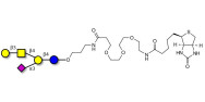 GM1a Ganglioside oligosaccharide linked to biotin (Linker-BT C)
